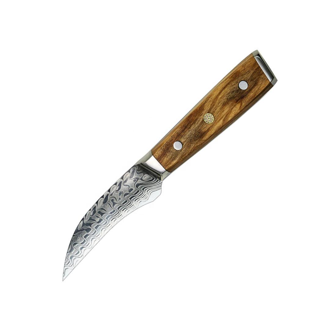 Lifespace Luxury Damascus 3.5" Olive Wood Handle Paring Knife LEROY