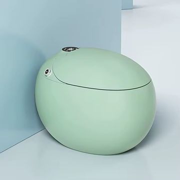 Smart Bidet Toilet, Egg-Shaped Ceramic