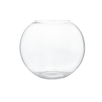 Xxl Fish Bowl