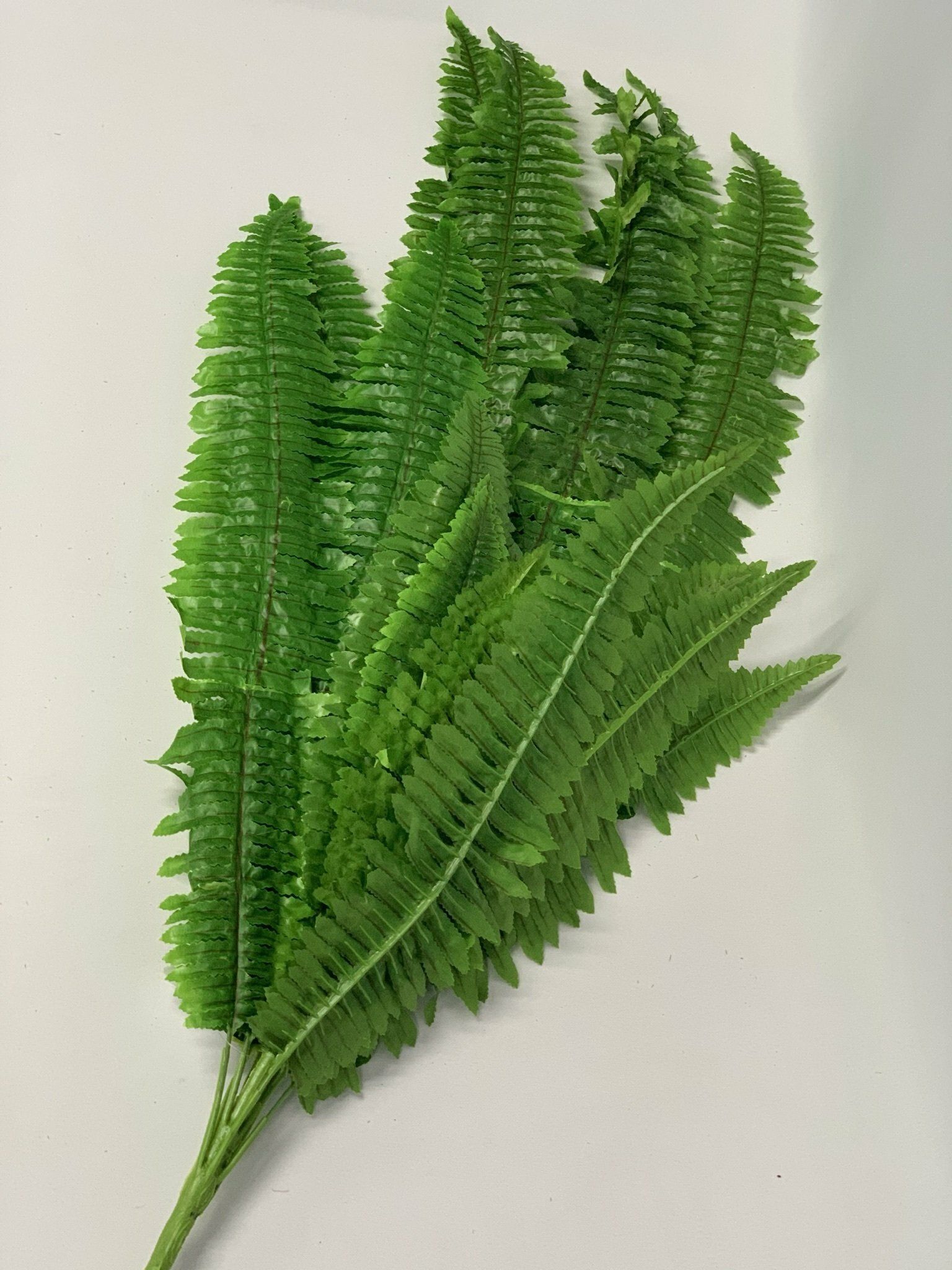 Fern 90Cm