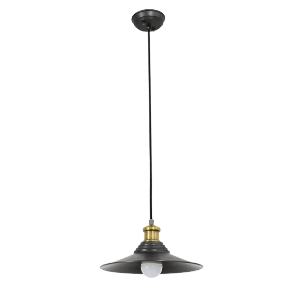 Zebbies Lighting Nolo Aged Steel and Copper Pendant