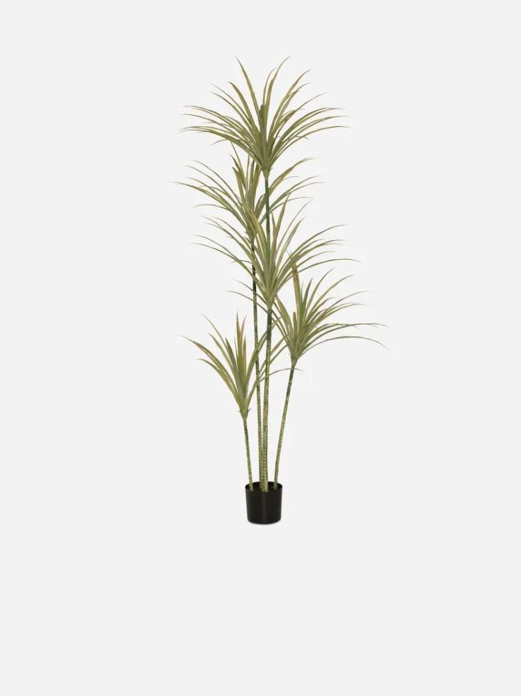 Faux Yucca Tree in Pot – Artificial Indoor Tree 200cm