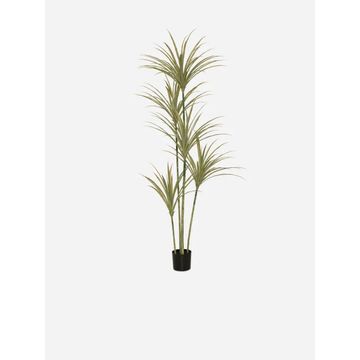 Faux Yucca Tree in Pot – Artificial Indoor Tree 200cm