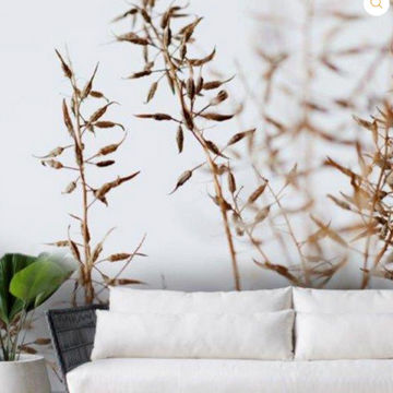 Wallpaper Dry Grass  265 x 350
