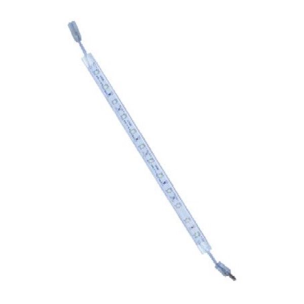 12VDC LED Cool/Wh Blue Flex White Strip LightW/Proof IP65 /5M