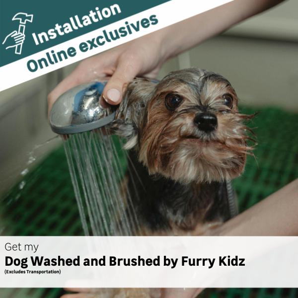 Bath and brush pet grooming best sale