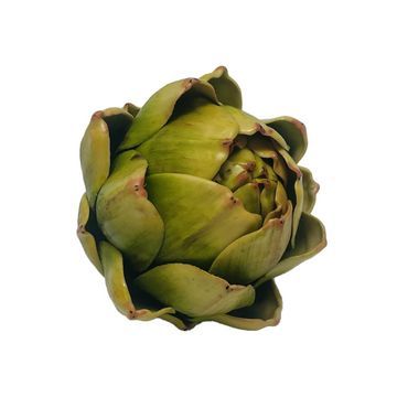 Artichoke Green 10Cm