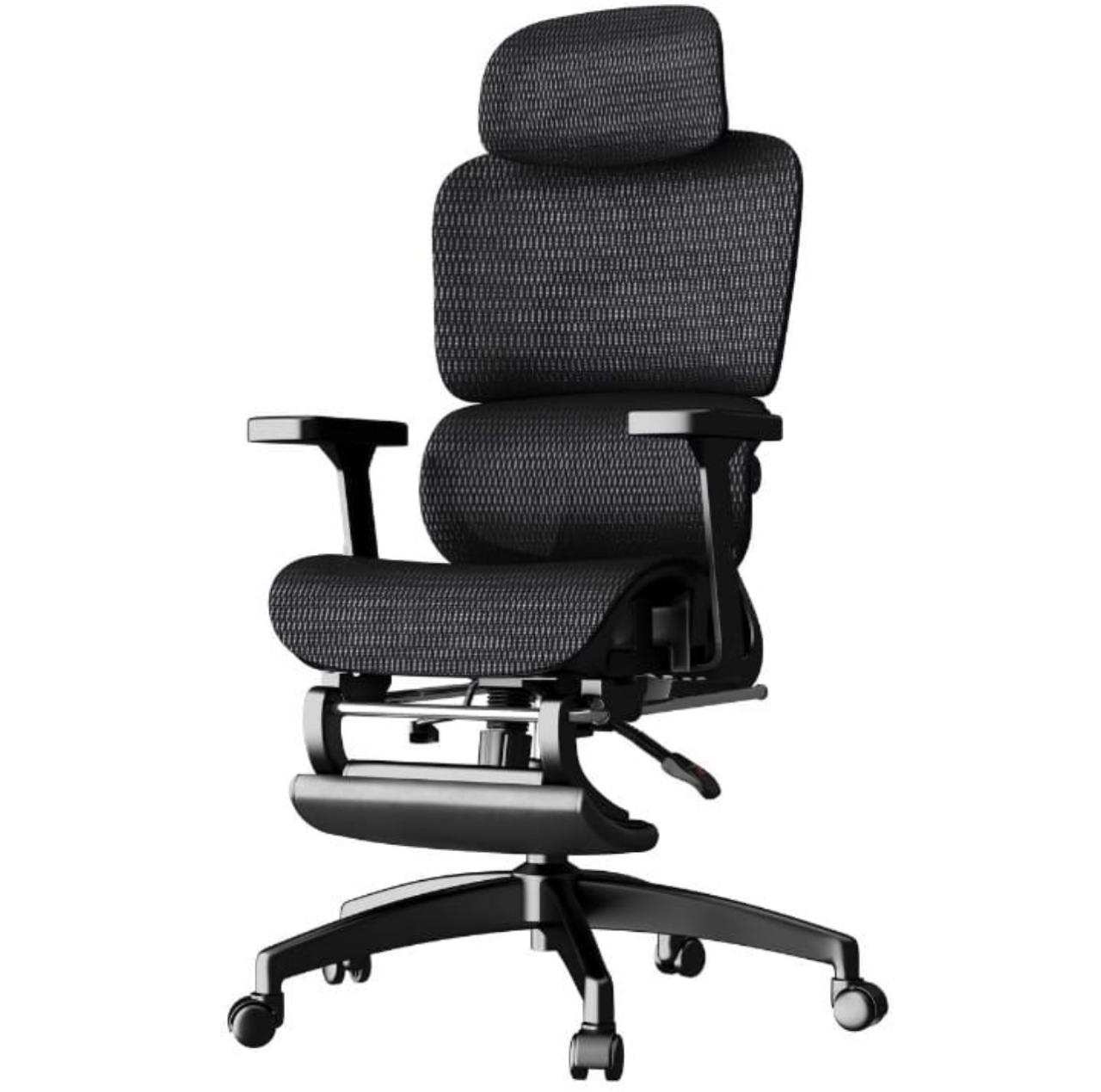 ErgoPro Mesh Executive Chair with Dynamic Lumbar Support & Footrest