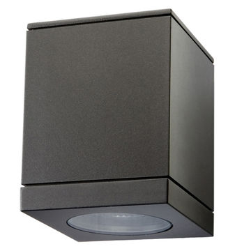 Echo - Square - Outdoor - Downlight - Graphite