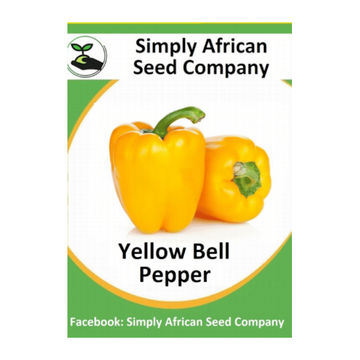 Bell Pepper Yellow 30's
