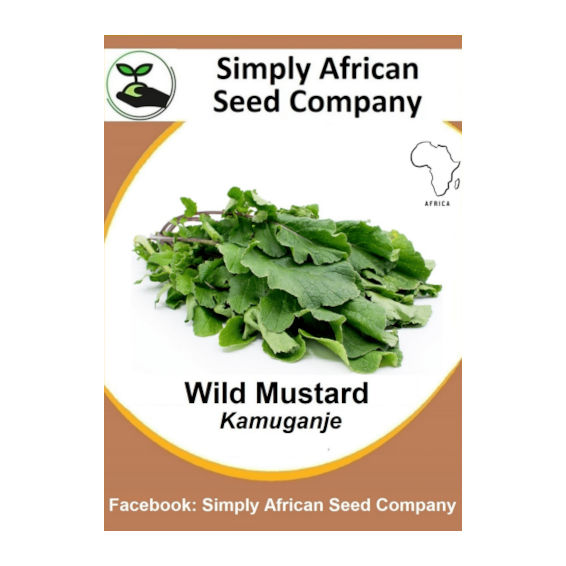 Wild Mustard (Kamuganje) 30's