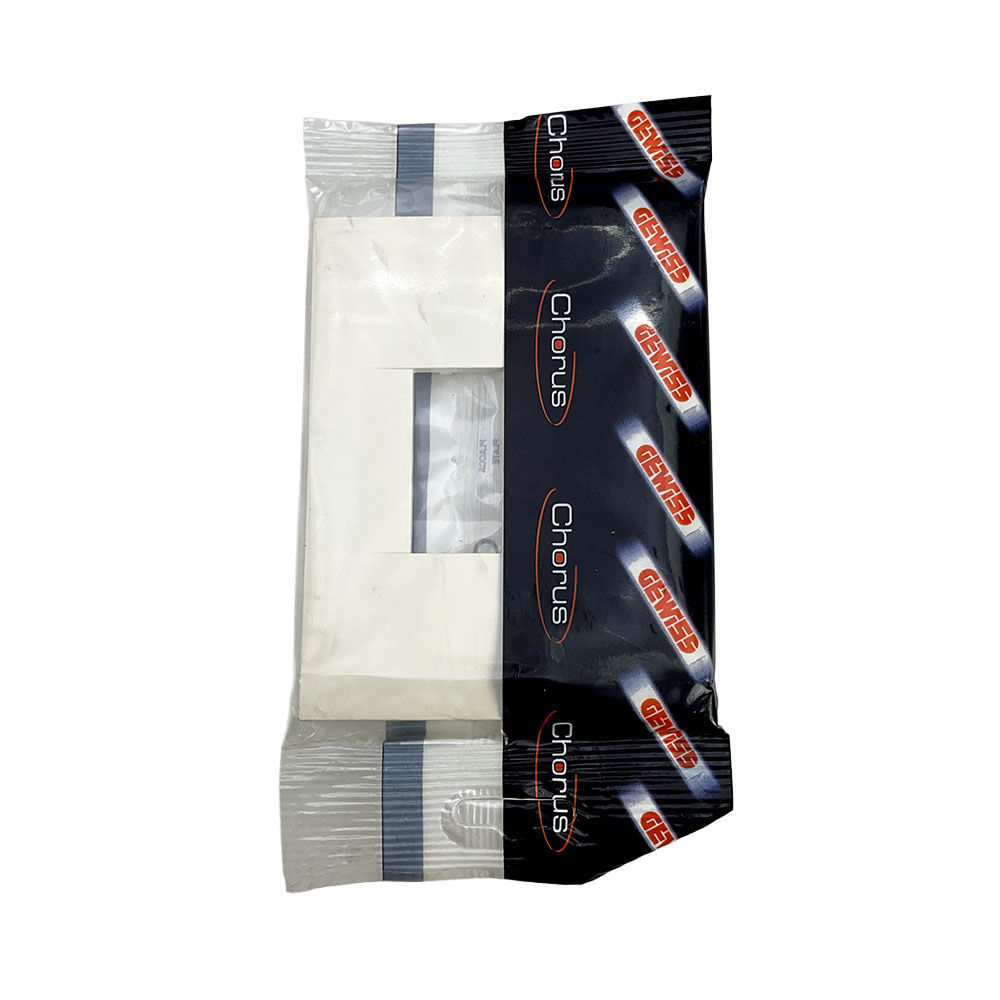 ACDC - Gewiss GEO 2-Gang Cover Plate (Ivory)