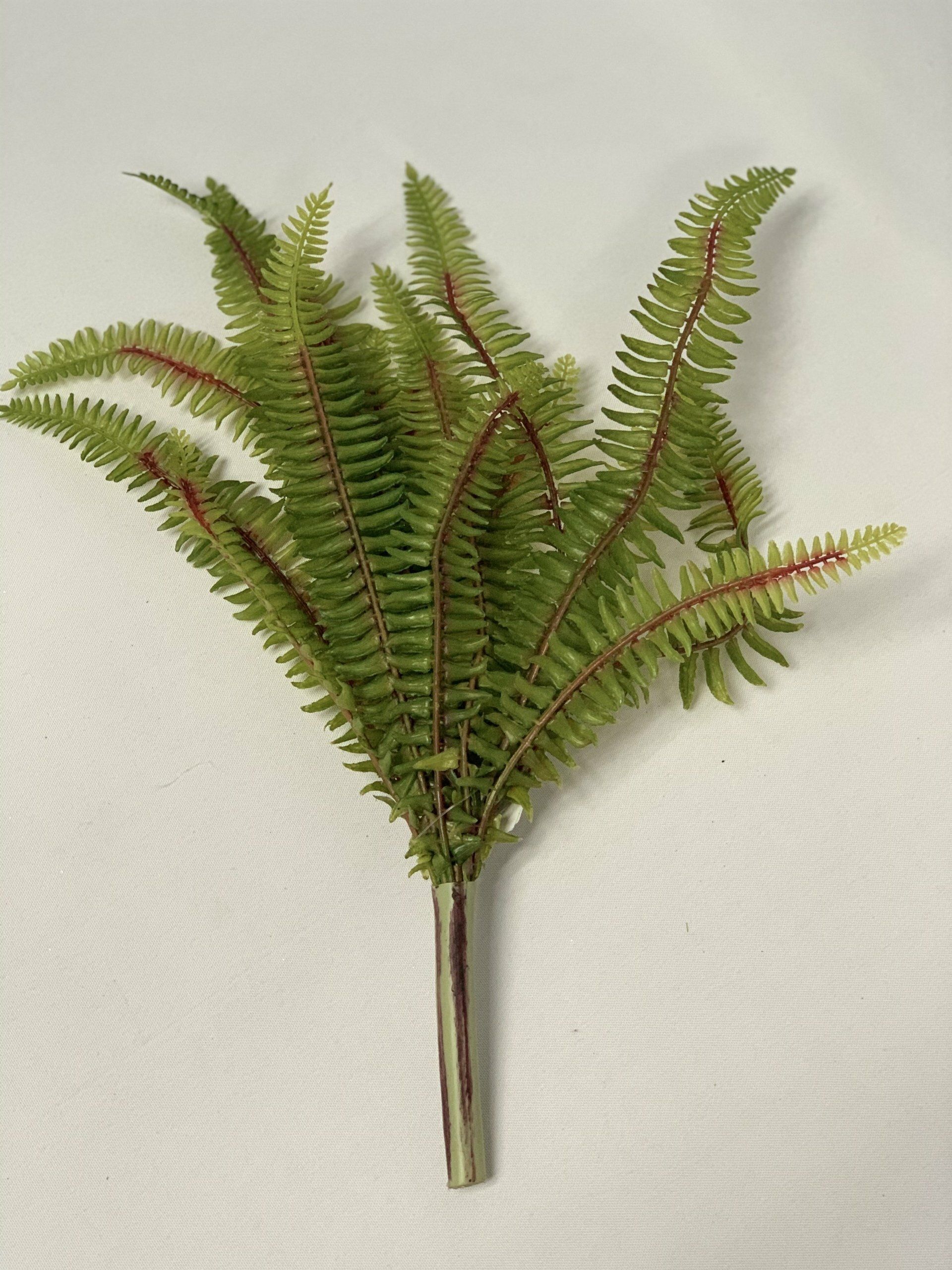 Fern 17 Stems 40Cm