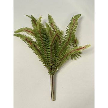 Fern 17 Stems 40Cm
