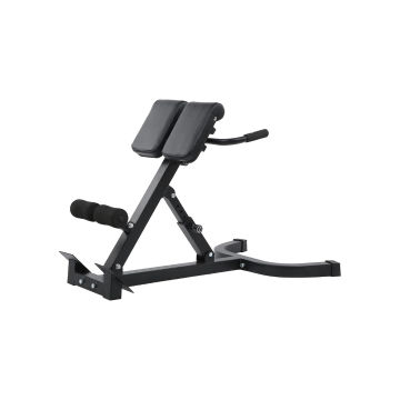 Hyperextension Bench & Multi-Functional Exercise Chair