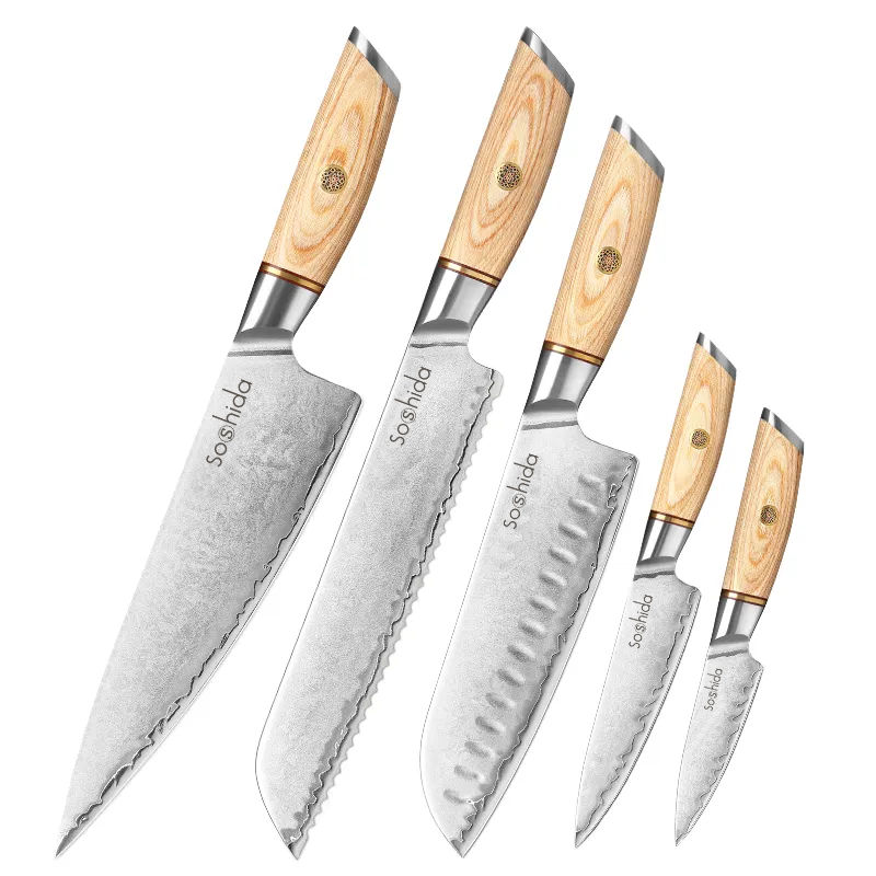 Soshida Professional 5 Piece Knife Set