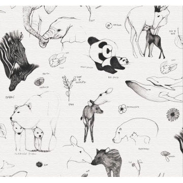 Kids Wallpaper &ndash; Baby Animals &ndash; Black & White