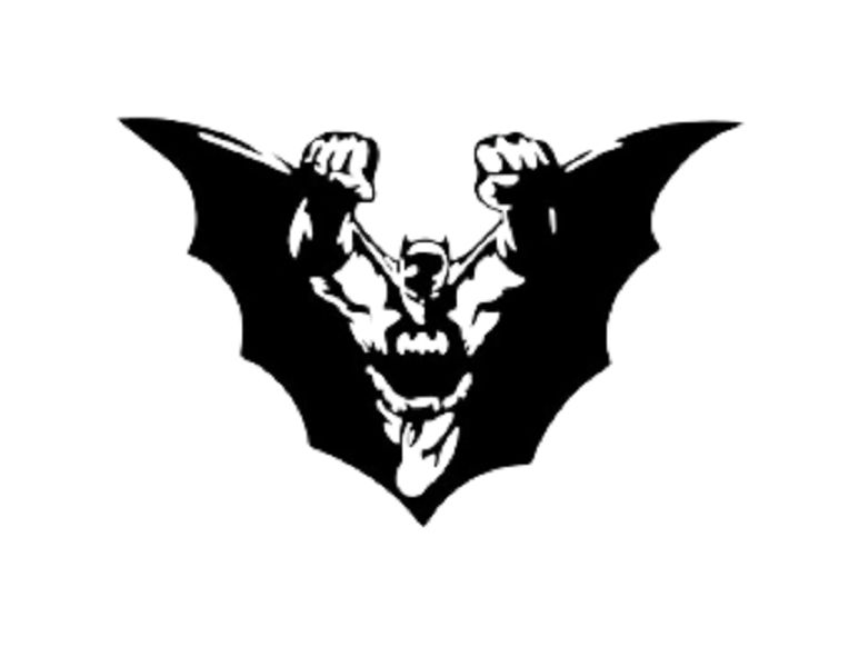 Flying Batman Wall art