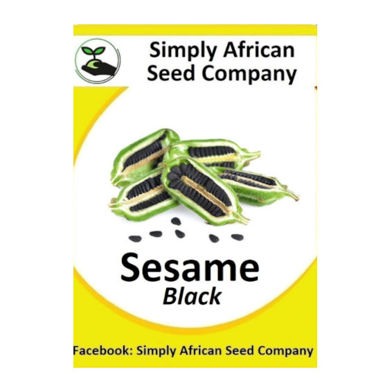 Sesame Black 50's