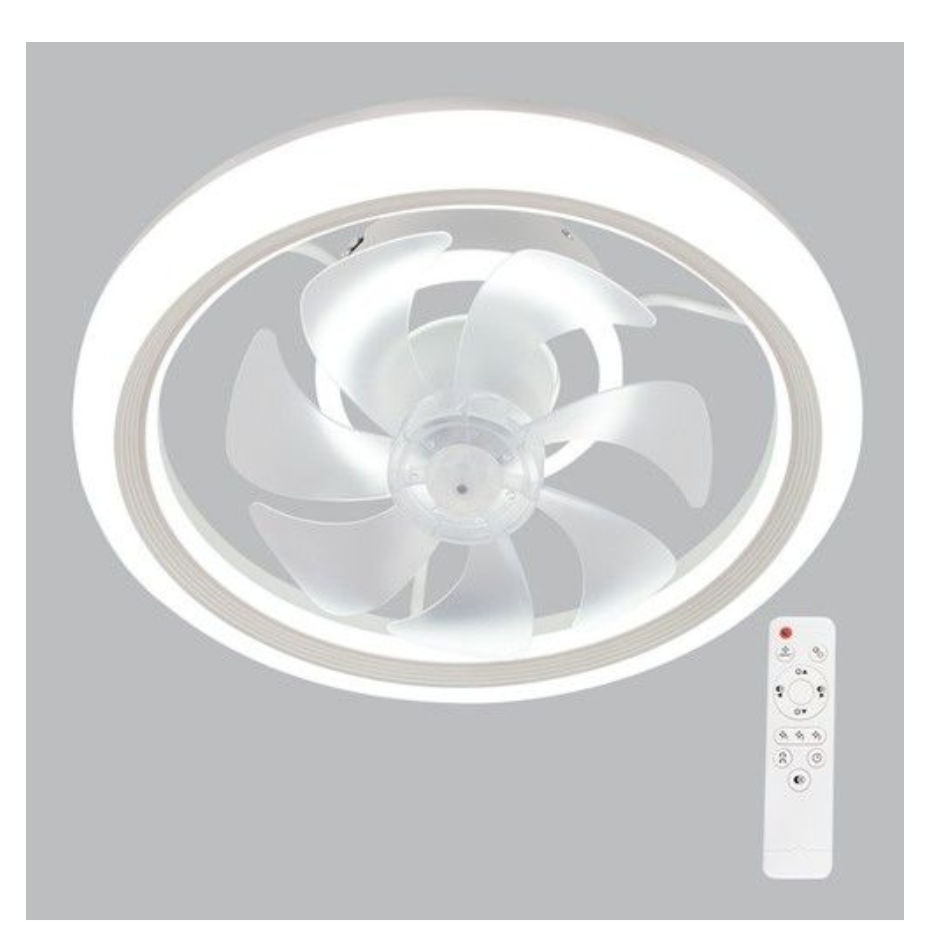 Ceiling Fan with Remote Control