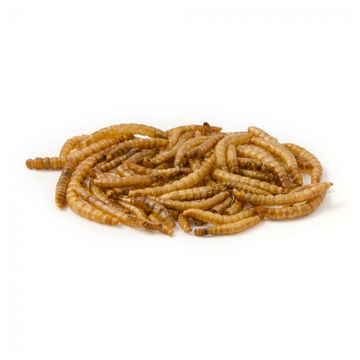 Dried Mealworms - 200 g