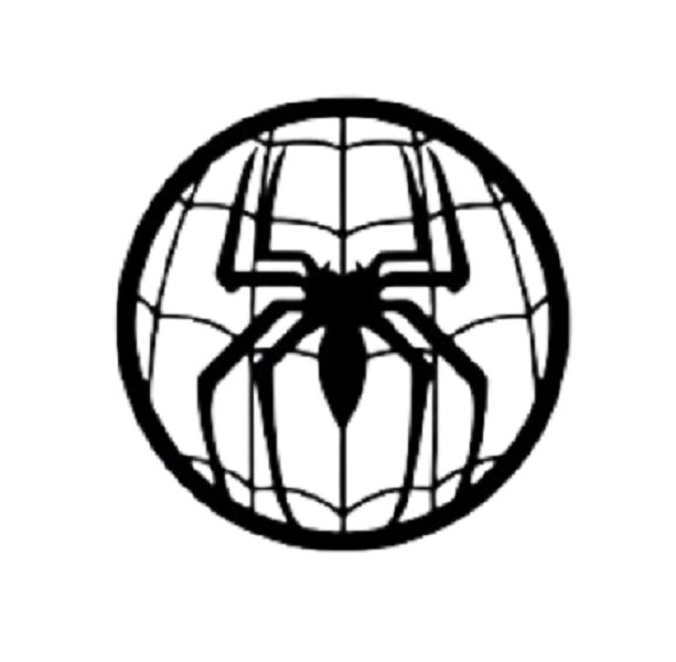 Spider web Wall art