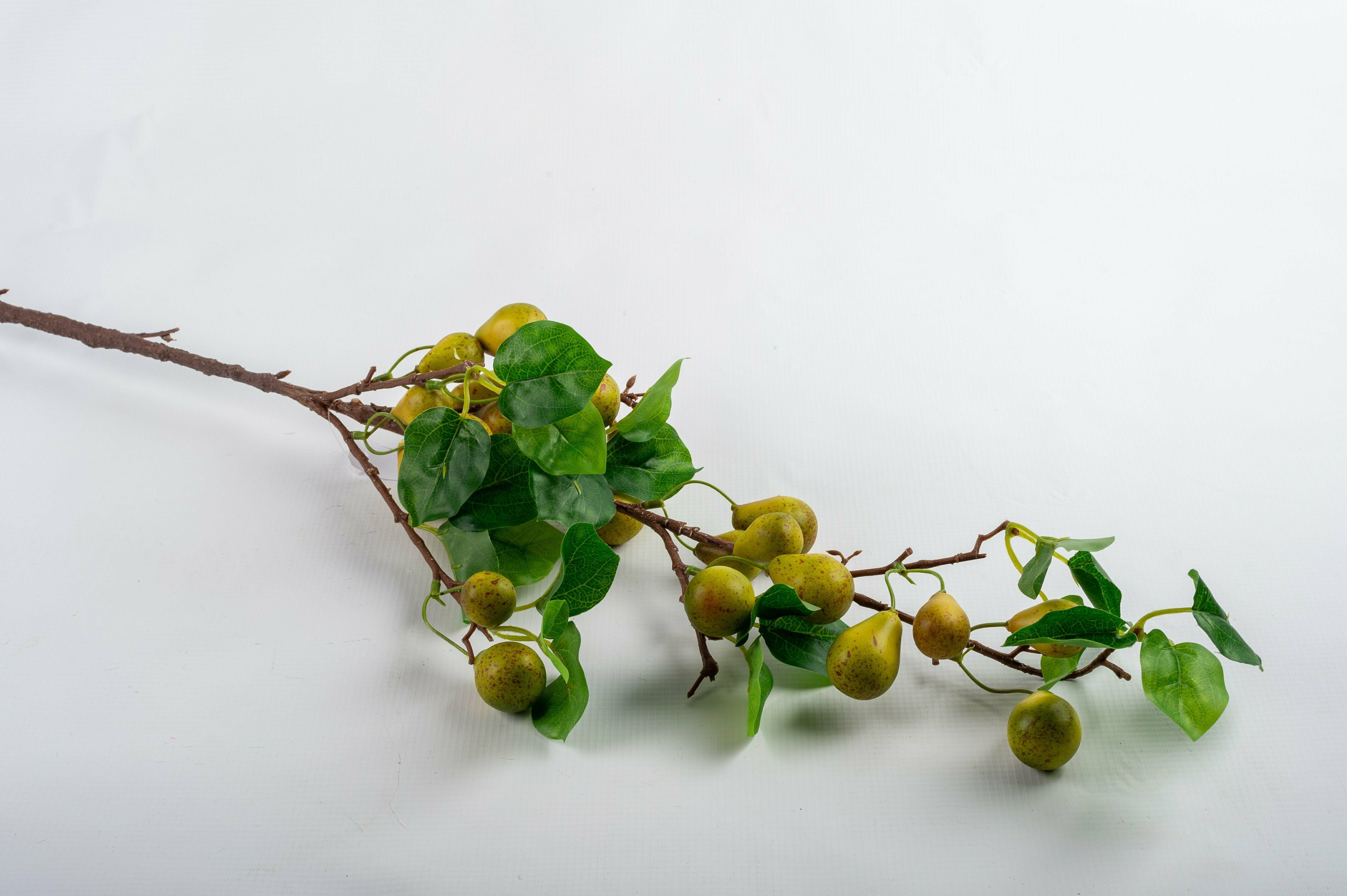 Mini Pears 1M Stem