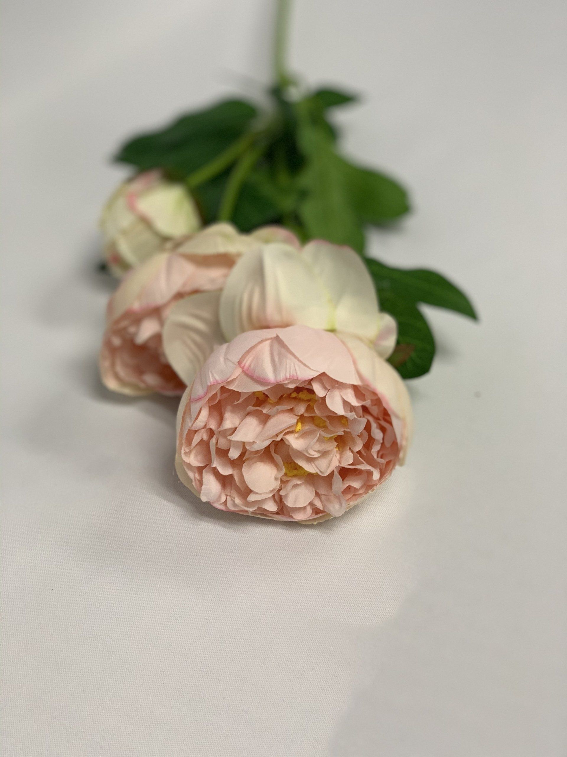 Peony Single Stem Pink Flower 74cm