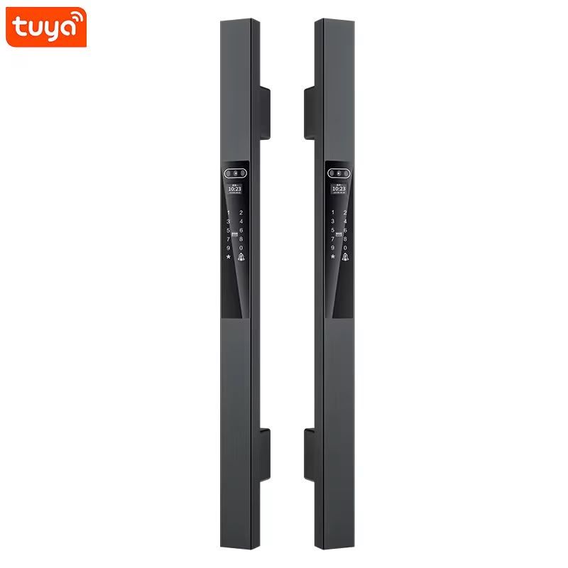 Tuya Smart Facial Recognition Long Pull Handle Door Lock
