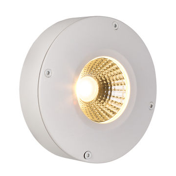 Callisto Outdoor - Downlight - LED - 3w White