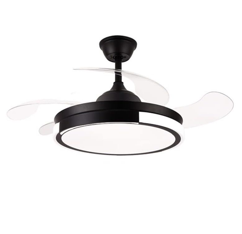Invisible Blades Ceiling Fan with Lights, Remote - EMS