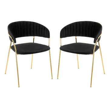 Nu Dekor - Arya Velvet Dining Chair - Set of 2 - Black