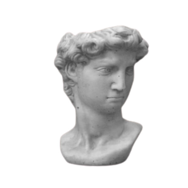 David Head Planter