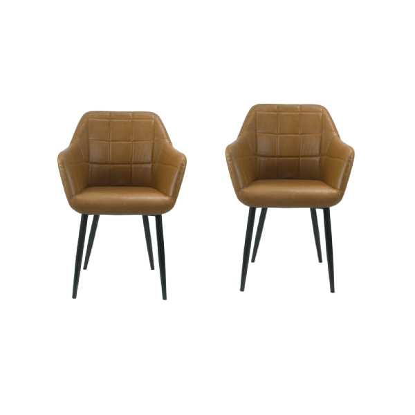 Everfurn Denmark Dining Chair- 2 Pack