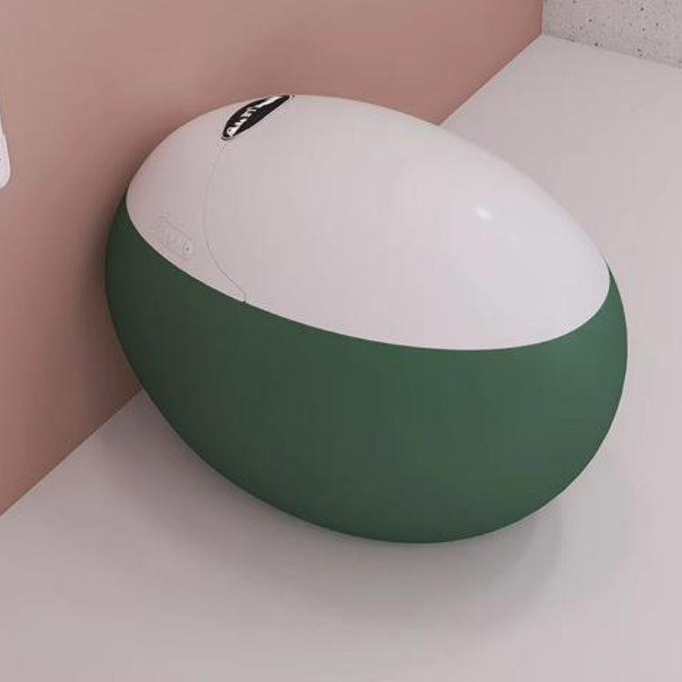 Egg-Shaped Smart Toilet with Tankless Bidet & Remote- Green