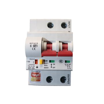 Tuya 2P 63A Smart Wifi Circuit Breaker