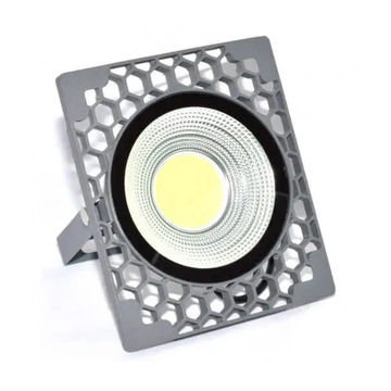 50W LED Flood Light