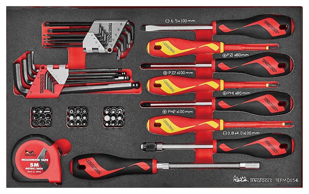 54PC Screwdriver & Hex/Torx Key Set in EVA Foam (with metric & imperial measuring tape)