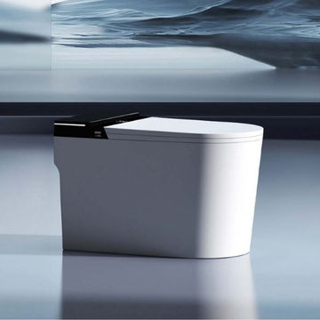 Maverick Smart Intelligent Toilet – Plasma Sterilization P Trap