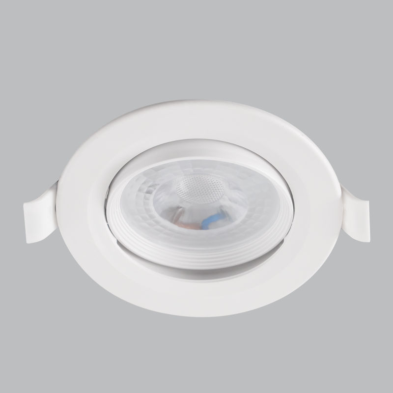 Metal Downlight