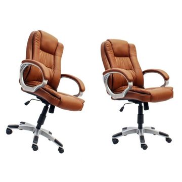 Set of 2 Executive office chairs