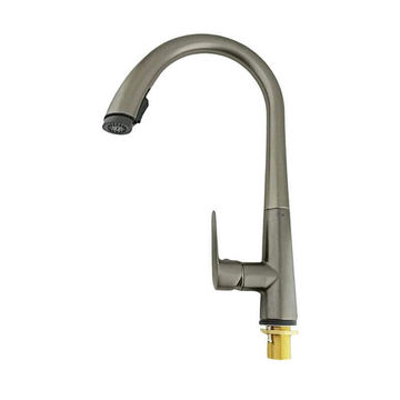 Kitchen Faucet with Pull Out Spray