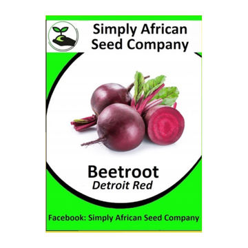 Beetroot, Detroit Dark Red 30's