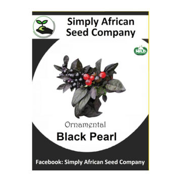 Black Pearl Ornamental Chilli (15's)
