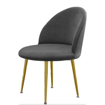 Asher Dinning Chairs with Gold Legs Set of 2 Black