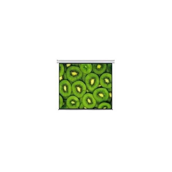 Esquire Electric Projector Screen 300 X 169