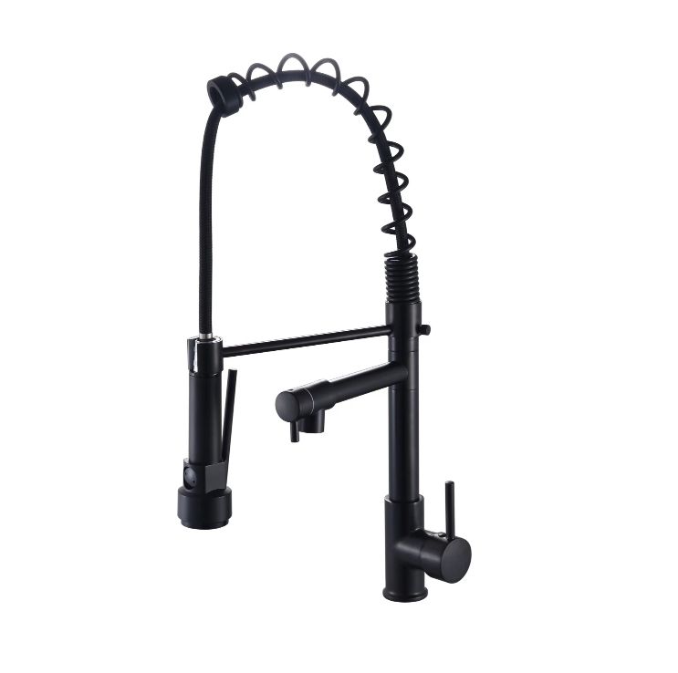 S/STEEL KITCHEN MIXER - MATT BLACK - 110