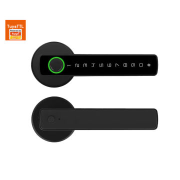 Biometric Smart Door Lock - H001