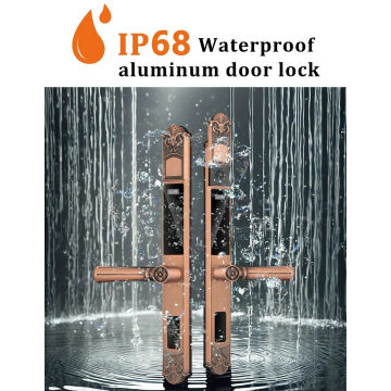 Biometric Smart Door Lock S040