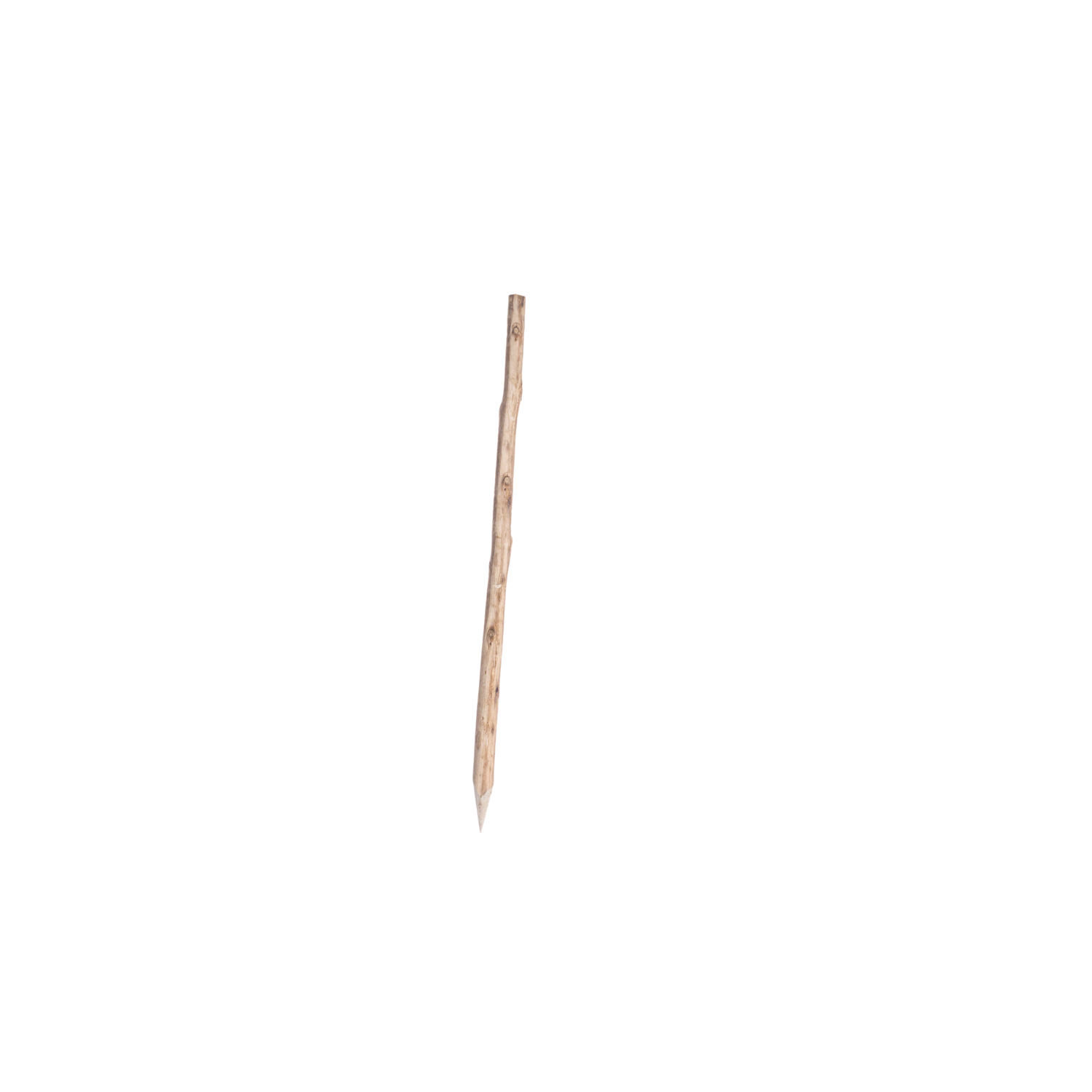 Wooden Stake 900mm